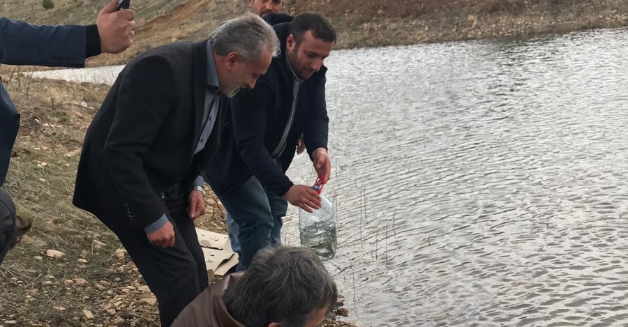 REKTÖRÜMÜZ KAMPÜSÜMÜZDE YER ALAN GÖLE YAVRU BALIK BIRAKTI