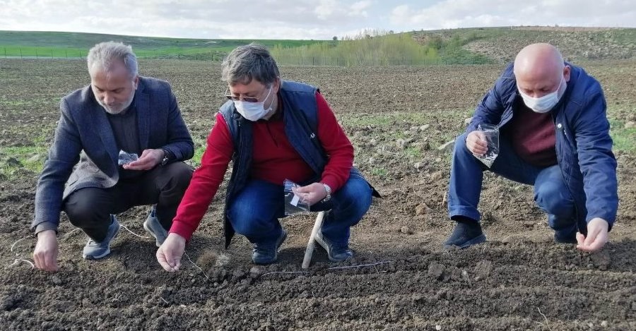ENDÜSTRİYEL KENEVİR TOHUMLARI TOPRAKLA BULUŞTU