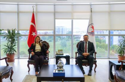 ziyaret